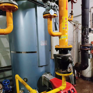 Calderas de gas y aceite de baja circulación natural industriales, resistentes a la corrosión, automáticas, de acero al carbono, de alta eficiencia para - Product Image 2