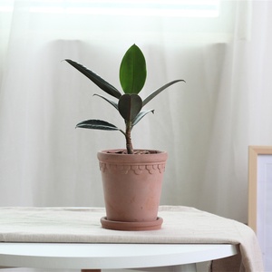 Haute qualité maison Gadern décoration succulente planteur <span class=keywords><strong>Pot</strong></span> <span class=keywords><strong>extérieur</strong></span> intérieur décoratif jardin balcon <span class=keywords><strong>terre</strong></span> <span class=keywords><strong>cuite</strong></span> Pots de fleurs - Product Image 2