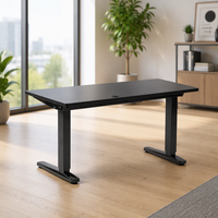 Bureau de travail électrique moderne à hauteur réglable, double moteur, ergonomique, pour ordinateur, mobilier de bureau assis-debout