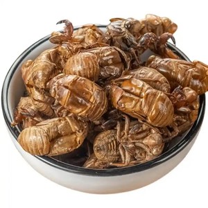 ผงซิเคด้าสกัดจากจั๊กจั่นเข้มข้นละลายน้ำได้ - Product Image 3