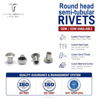 Rivets semi-tubulaires en acier inoxydable sur mesure de l'usine TianFang Advanced Technology, finition brillante, norme ISO, marque industrielle