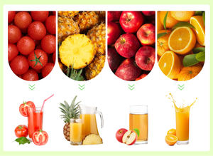 Grande extracteur de jus en spirale pour fruits et légumes en acier inoxydable 304 Presse-agrumes concasseur industriel pour pommes et ananas - Product Image 5