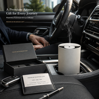 Diffuseur d'arômes portable rechargeable pour voiture HIITII, machine à parfum sans eau, mini diffuseur d'air frais sans fil pour voyage, air froid