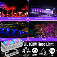 Projecteur LED RGBW sans fil DMX de haute qualité homologué ETL AC100-277V 50W Projecteurs LED extérieurs IP67 Éclairage architectural de façade