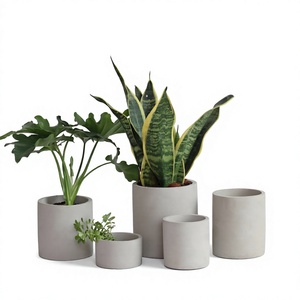 Pot rond en ciment pour plantes succulentes avec trou de drainage, gris clair, pour la maison, le jardin, l'hôtel - Product Image 4