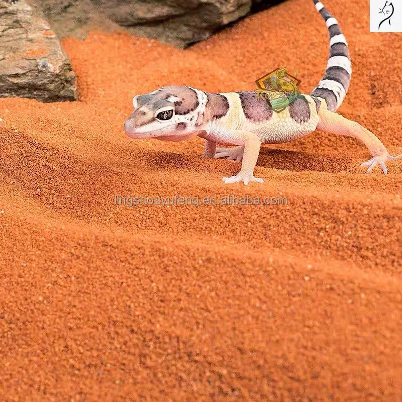 Reptilian sand