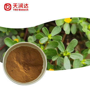 Bacopa <span class=keywords><strong>Monnier</strong></span> Bacosides Haute Qualité 50% Bacopa Bacosides Bacopa Monnieri Extrait - Product Image 1