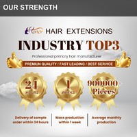 Extensiones de Cabello Humano Honorhair de un Solo Donante a Precio de Fábrica (Color Claro), Extensiones de Cabello con Trama Invisible Genius