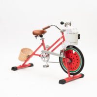 Bicicleta de Fiesta para Niños EXI Pedal Power con Ruedas de 20 Pulgadas, Fácil de Conducir, con Máquina de Burbujas de Aluminio