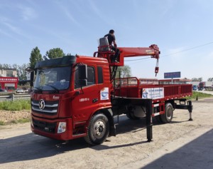 Componentes básicos del motor de engranajes grúa giratoria con bomba de motor grúa de camión pequeño de 25 toneladas grúa giratoria móvil - Product Image 1