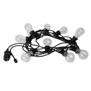 Low Voltage Outdoor Waterproof Belt Garden Wedding Party Led Festival String Light