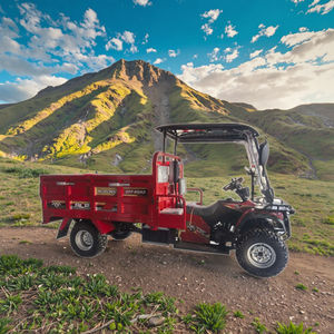 Véhicule Utilitaire Tout-Terrain Agricole 4x4 OEM/ODM, Dune Buggy, <span class=keywords><strong>Quad</strong></span>, Moto-Tricycle à Essence pour Fret avec Châssis Ouvert - Product Image 1