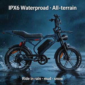 Bicicleta Eléctrica QMHEEL S20 Pro, Fat Bike con Frenos Hidráulicos y Asiento Confortable, para Importadores, Suministro desde Almacén en el Extranjero de la UE - Product Image 1