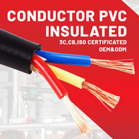 Kabel Daya Bangunan Industri PVC ROHS 2-inti 3-inti 1.5mm 2.5mm 4.0mm RVV Terpilin yang Dapat Disesuaikan untuk Grosir