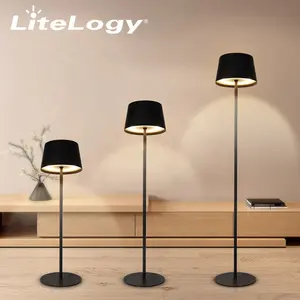 Lampadaire vertical en métal sans fil pour décoration intérieure, décoration d'intérieur moderne, nordique, minimaliste et rechargeable