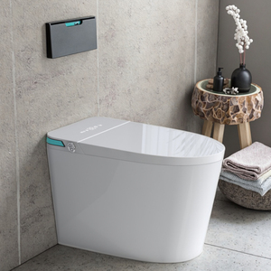 Hot bán hoàn toàn thông minh trắng thiết kế hiện đại thông minh nhà vệ sinh chỗ ngồi hệ thống sưởi ấm dual-tuôn ra điều khiển từ xa tầng gắn thuôn dài - Product Image 1