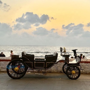 Calèche électrique de mariage / Calèche romantique de Noël pour la visite des sites / Buggy électrique de tourisme - Product Image 1