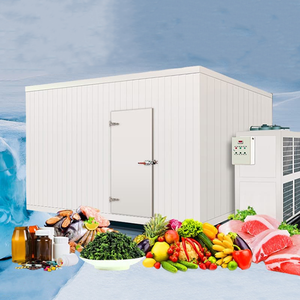 Chambre froide de plain-pied pour la maturation des bananes et l'exposition des légumes, type conteneur frigorifique solaire de 20 pieds pour la conservation du poisson - Product Image 1