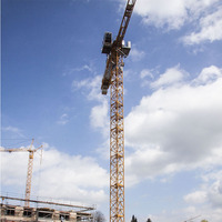 Grue à tour à plateforme plate 12 tonnes, modèle échelle haute performance, équipement de construction, moment de levage 150m