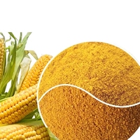 Poudre de liquide de maïs fermenté de qualité alimentaire, vente chaude