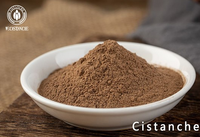 Extrait de Cistanche Tubulosa en poudre 50% PhGs 15% Echinacoside 6% Acteoside Compléments énergétiques à base de plantes Complément alimentaire Dew OEM