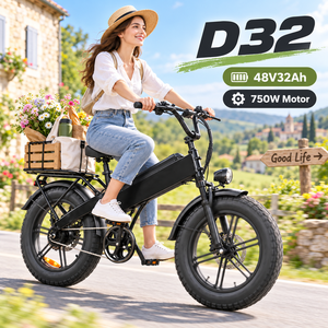 จักรยานไฟฟ้าบรรทุกสินค้า D32 48V32Ah ระยะทาง 128 กม. รับน้ำหนัก 200 กก. ยางขนาด 20 นิ้ว ผลิตตามสั่งจากโรงงาน OEM - Product Image 1
