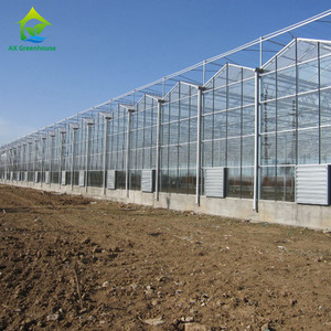 Serres agricoles en verre, système hydroponique vertical, serre Venlo, Invernadero <span class=keywords><strong>De</strong></span> <span class=keywords><strong>Tomate</strong></span> - Product Image 3