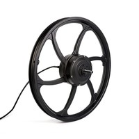 20 pouces 24/36V/48V 250w350W moteur de moyeu à engrenages sans balais moteur de moyeu de roue de vélo électrique avec roue avant