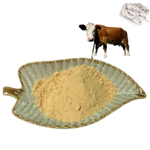 Polvo de médula ósea de res liofilizado de extracto animal, suministro de fábrica, polvo de médula ósea de res con <span class=keywords><strong>precio</strong></span> al por mayor - Product Image 1
