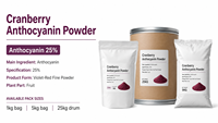 Natuurlijk Cranberry Fruitpoeder 25% Anthocyanine Voedingskwaliteit GMP Gecertificeerd 1kg Vacuüm verpakt Grondstof voor Voedingssupplementen