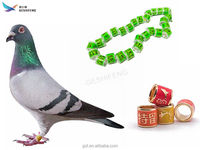 Bagues de pigeon de course, bagues personnalisées, taille standard 2023 8mm 10.3mm