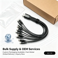 Câble répartiteur USB-A vers USB-C Type-C T-250, 10-en-1, multi-charge pour téléphones, tablettes et autres appareils