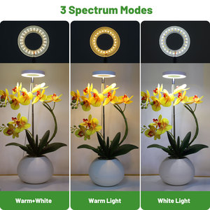 Auto On/Off Timer 10 Dimmable Brightness Height Adjustable Home Led <strong>Halo</strong> Ring Grow <strong>Lights</strong> for Succulents Mini Small <strong>Plants</strong>