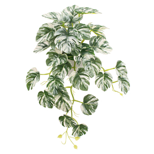 منتجات جديدة نباتات بيجونيا صناعية معلقة - Product Image 6