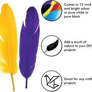 Plumas de Ganso Coloridas para Decoración de Escenarios y Fotografía, Halloween, Carnaval, Navidad, Día de la Independencia, Fiestas, Disfraces y Accesorios - Product Image 4
