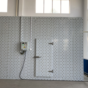 Stoccaggio commerciale della cella frigorifera del congelatore di refrigerazione di alta efficienza personalizzato con lo scivolamento o la stanza fredda media della porta mezza sepolta - Product Image 1