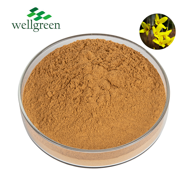 Bulk Chinese Traditional Herb Lian Qiao Nutritional Supplements Forsythia Suspensa Extract