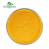 Poudre de Vitamine B9 Acide Folique Complément Alimentaire Fortifiant Nutritionnel Matière Première en Vrac