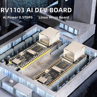 Lucky Fox RV1103 Micro Linux Development Board with Network Port 0.5TOPS AI Computing Power DC/DC Converter I2C Communication