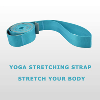 Cinturón de Yoga de 12 Lazos para Estiramiento, Directo de Fábrica, al por Mayor, con Logotipo Personalizado y Guía Ilustrada de Ejercicios para Fisioterapia