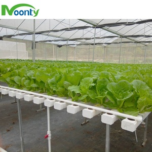 Système de plantation hydroponique NFT <span class=keywords><strong>Vertical</strong></span>, économie de place, plantes pour tersmartphone, herbe de tomate - Product Image 6