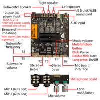 WUZHI AUDIO ZK-AM100F Type de plomb KTV Microphone et Audio Machine tout-en-un Module amplificateur de haut-parleur 2.1 canaux Module de son
