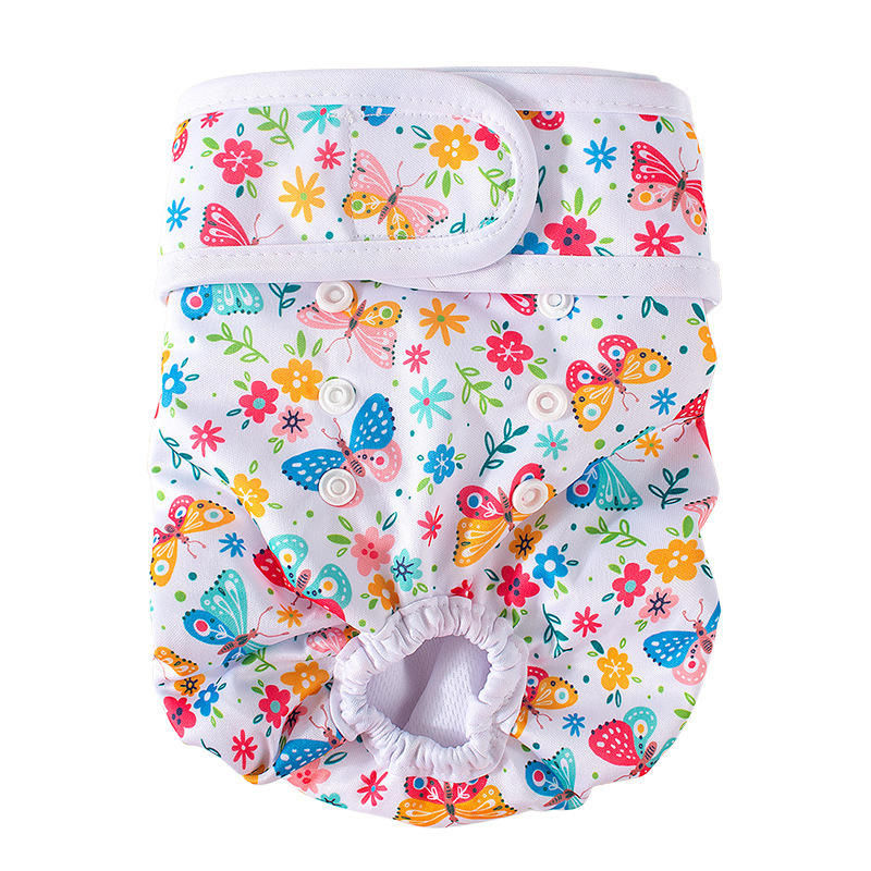 Chrysanthème élégant