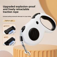 Collier et laisse ajustables pour petits animaux de compagnie, de haute qualité, en gros, simples et solides, accessoires pour animaux de compagnie