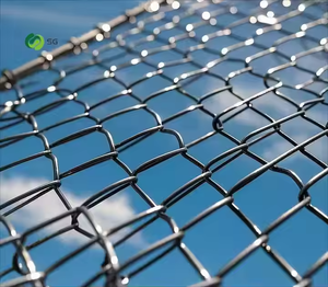 Clôtures à maillons de chaîne en sergé tissé en usine Maille galvanisée revêtue de chlorure de polyvinyle pour aire de jeux de parc et utilisation agricole - Product Image 4