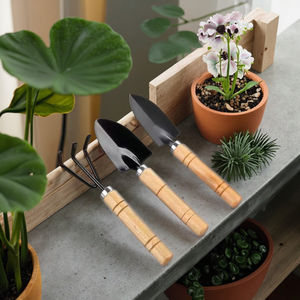 तीन-टुकड़े घरेलू बागवानी उपकरणों का सेट हरे रंग के पौधे के टुकड़े टुकड़े टुकड़े टुकड़े टुकड़े टुकड़े टुकड़े टुकड़े टुकड़े टुकड़े किए गए मिट्टी के लिए - Product Image 2