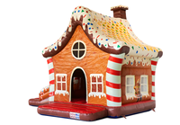 LeTeng LT-470, Castillo Inflable Comercial de PVC con Tobogán, Diseño de Galleta de Jengibre, Capacidad de 500-800 kg, Tamaño 6x4x4 m, para Niños de 2-3 Años