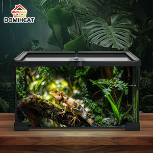 Terrarium en verre panoramique 30x30x20 pour exposition de reptiles, vue intégrale sur la forêt tropicale - Product Image 6