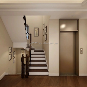 Ascenseurs résidentiels au design moderne en promotion : Ascenseur domestique à traction très apprécié pour la maison - Product Image 2