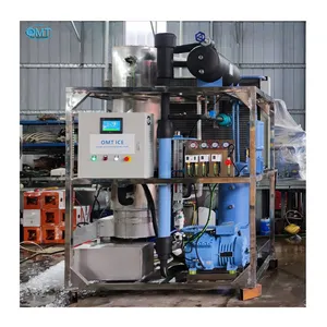 Stainless Steel 304 1500 Kg Tube Ice Making Machine 3 Ton Philippines